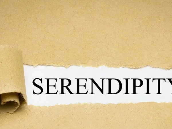 serendipity